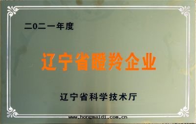 遼甯省(shěng)瞪羚企業